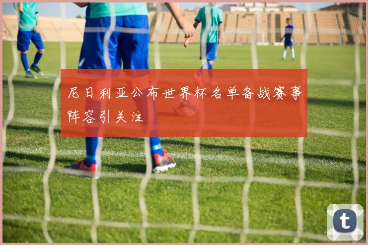 尼日利亚公布世界杯名单备战赛事阵容引关注
